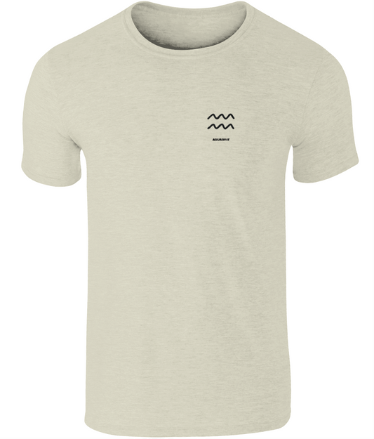 Constellations - Aquarius