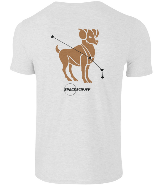 Constellations - Aries